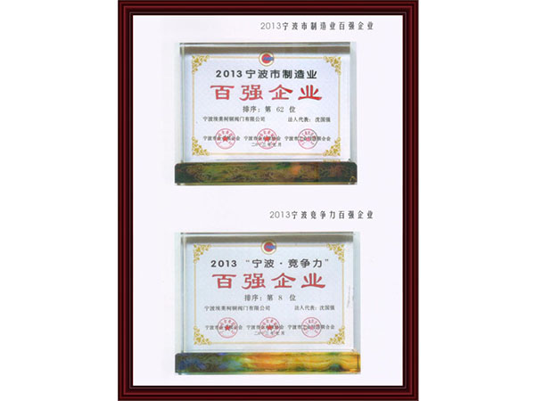 2013宁波制造业百...