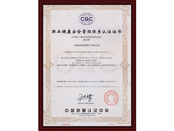 职业健康安全管理体系...