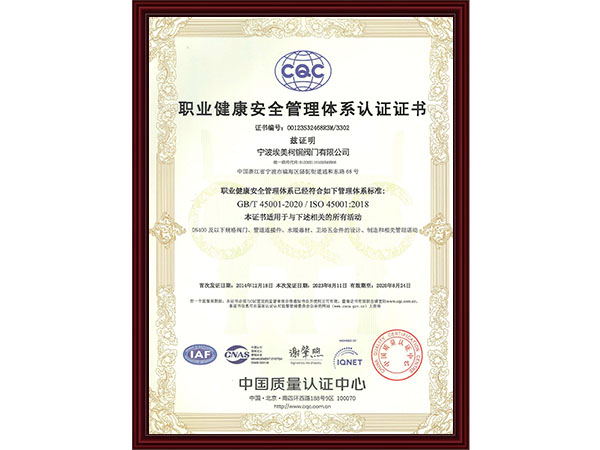 职业健康安全管理体系...